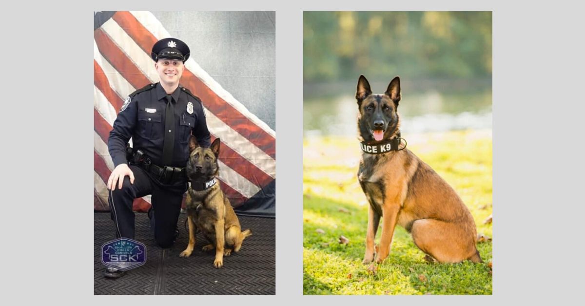 K9Watsontown_collage_2019.jpg